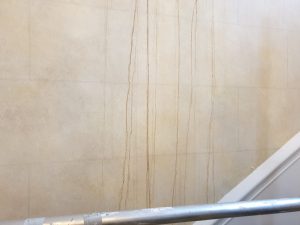 Water damaged mural wall in listed building